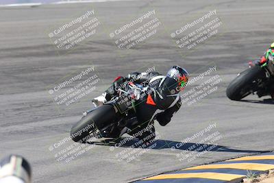 media/Feb-04-2024-SoCal Trackdays (Sun) [[91d6515b1d]]/4-Bowl Backside (11am)/
